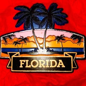 Old vintage Florida refrigerator magnet